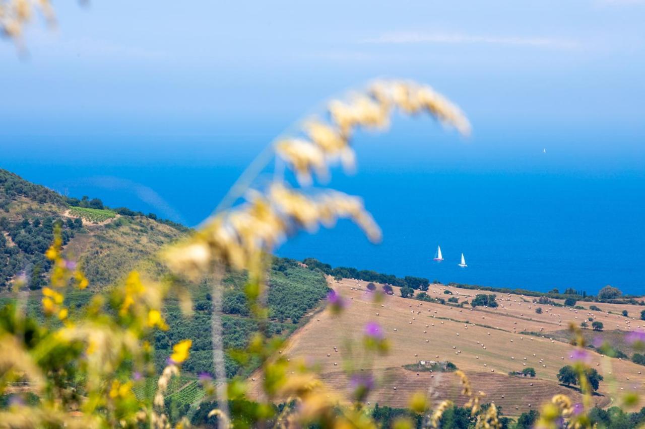 Aparthotel Il Panorama Housing Cilento Santa Maria di Castellabate Exteriér fotografie