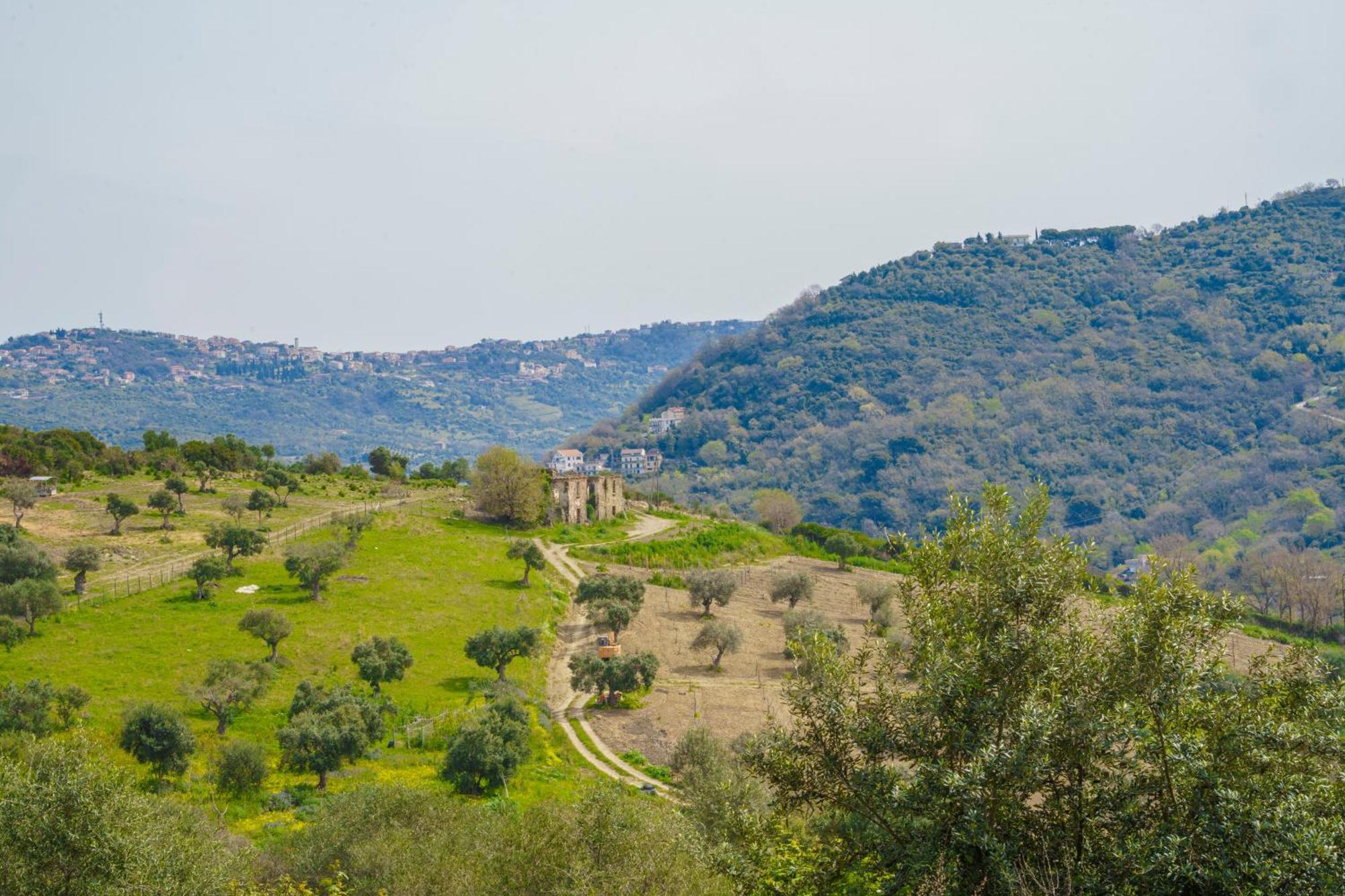 Aparthotel Il Panorama Housing Cilento Santa Maria di Castellabate Exteriér fotografie